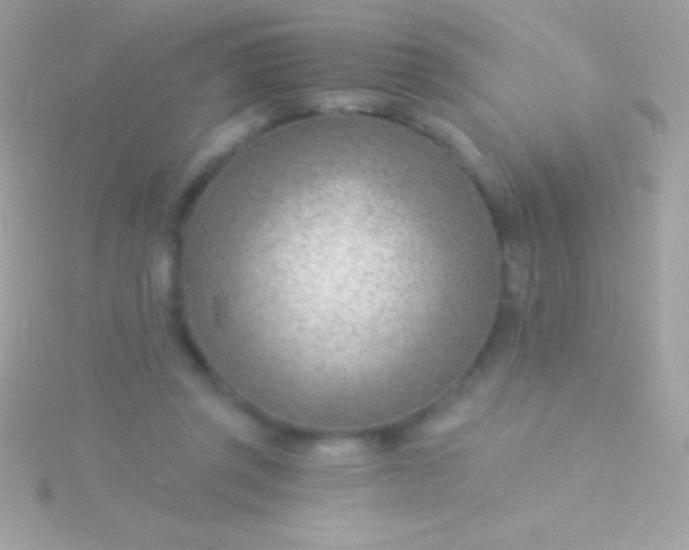 X0000115730357200911251943