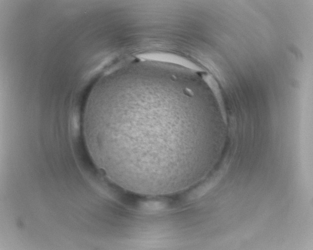 X0000115730358200911251943