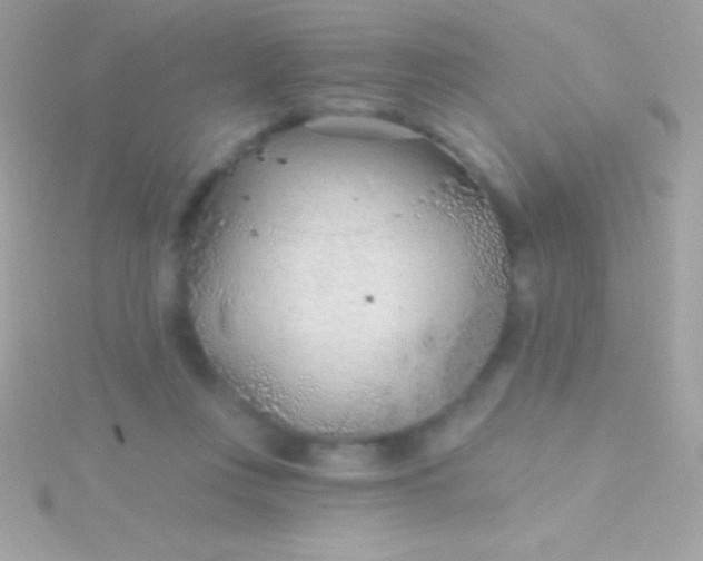 X0000115730359200911251943