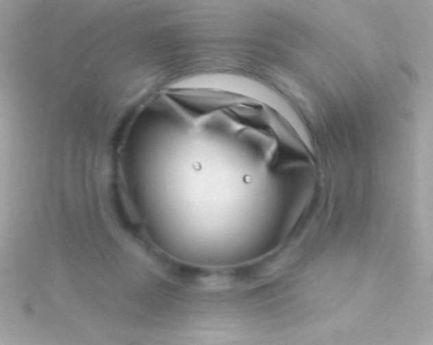 X0000115730362200911251943