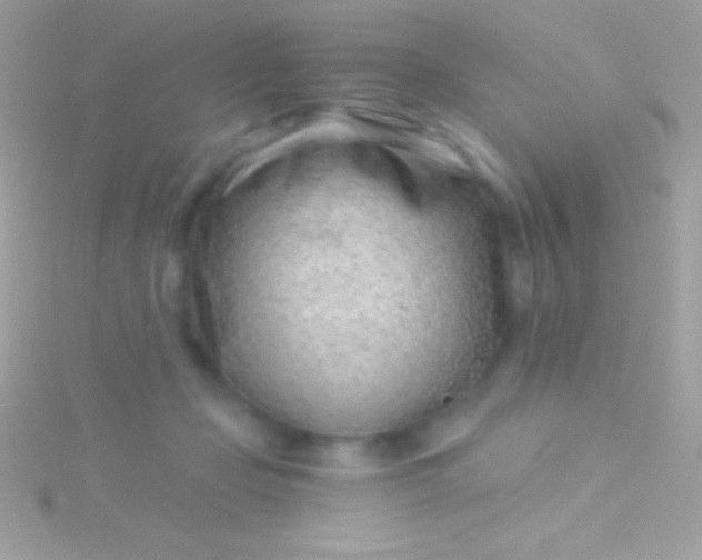 X0000115730365200911251943