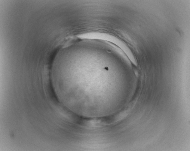 X0000115730366200911251943