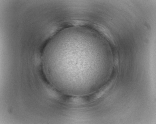 X0000115730367200911251943