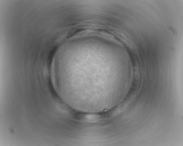 X0000115730371200911251943