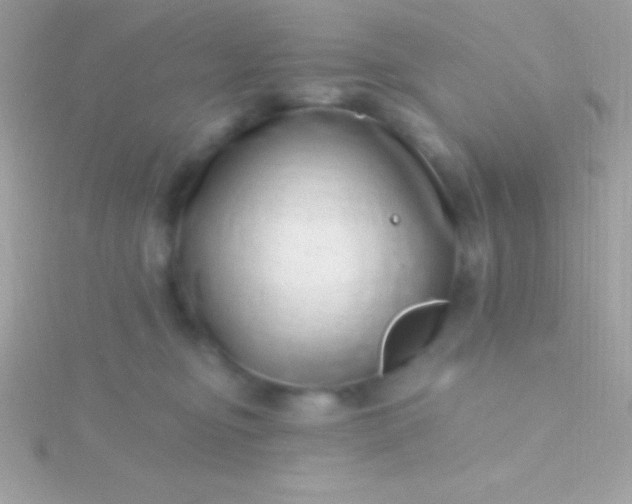 X0000115730374200911251943