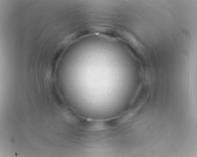 X0000115730377200911251943