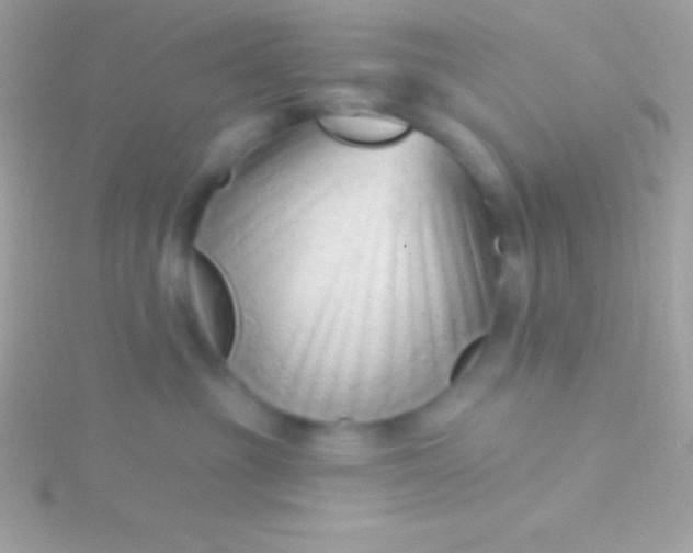 X0000115730381200911251943