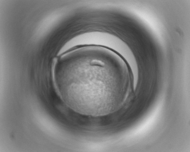 X0000115730382200911251943