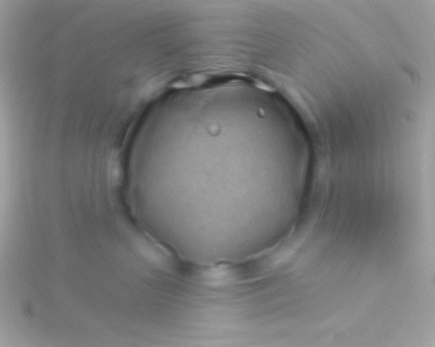 X0000115730383200911251943