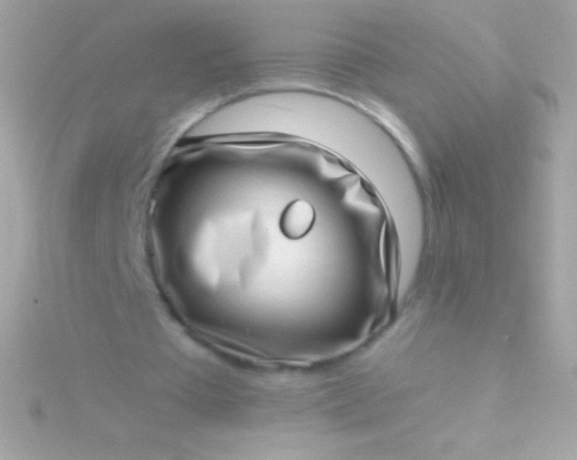 X0000115730385200911251943