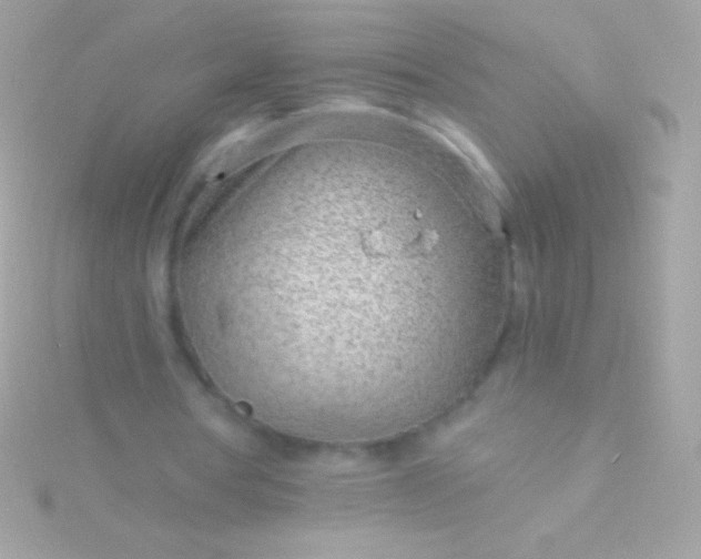 X0000115730386200911251943