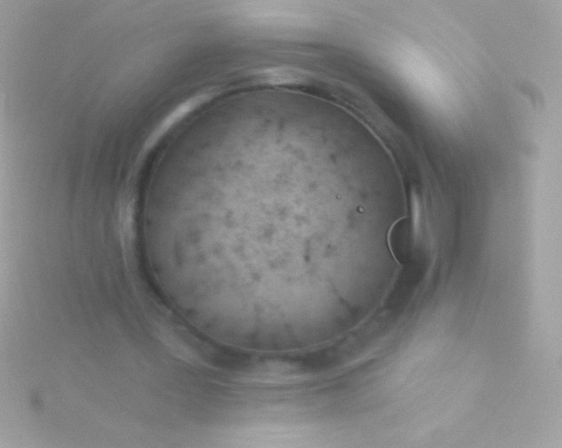 X0000115730387200911251943