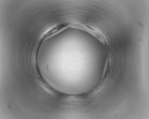 X0000115730390200911251943