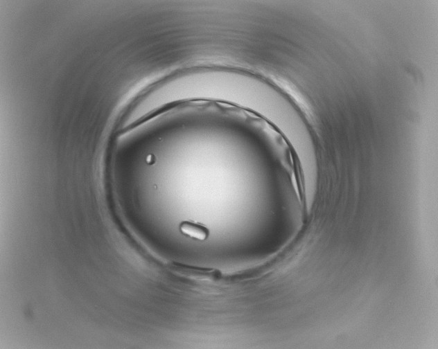 X0000115730391200911251943