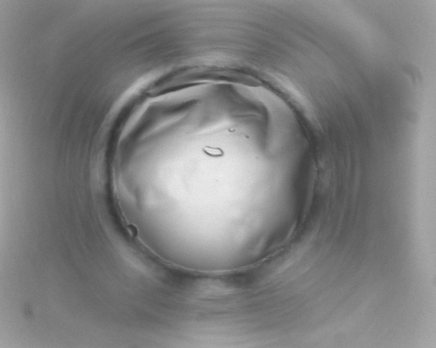 X0000115730392200911251943