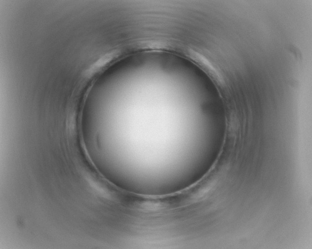 X0000115730394200911251943