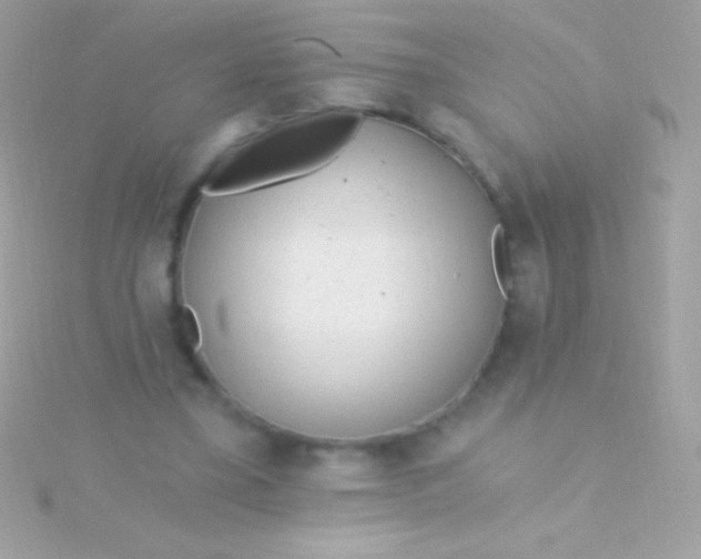 X0000115730395200911251943