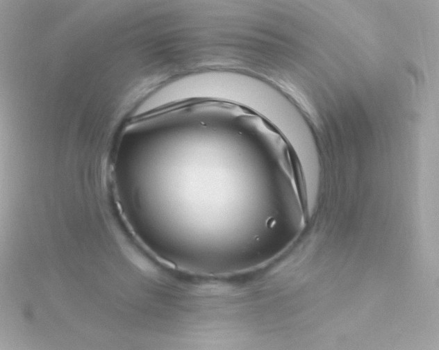 X0000115730397200911251942