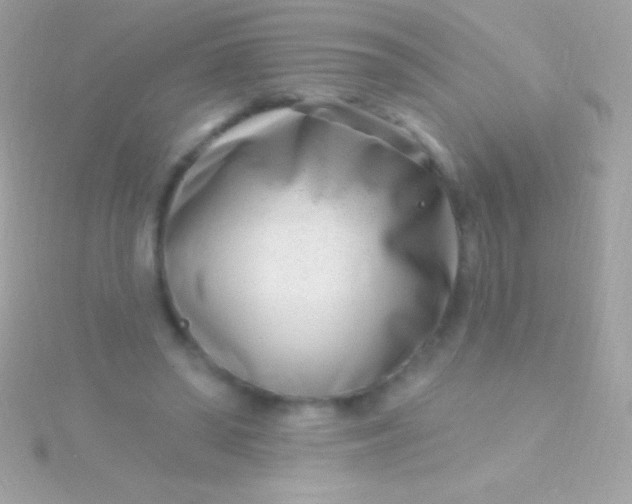 X0000115730398200911251942