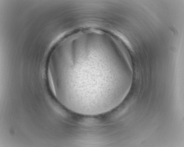 X0000115730399200911251942