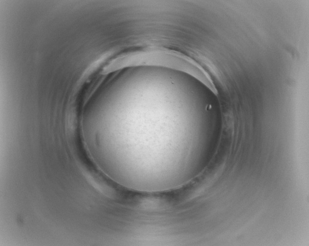 X0000115730400200911251942