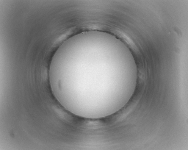 X0000115730401200911251942