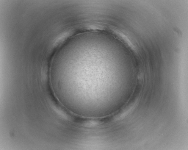 X0000115730402200911251942