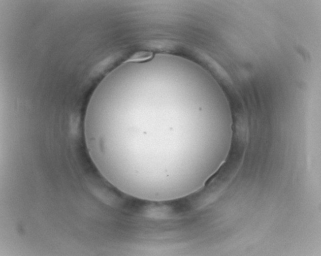 X0000115730403200911251942