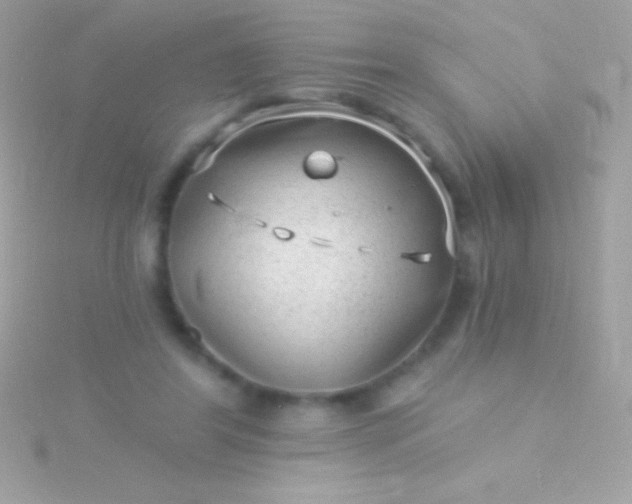 X0000115730404200911251942