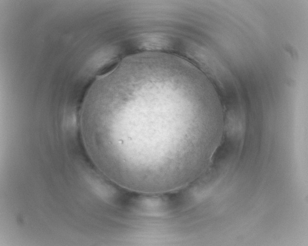 X0000115730405200911251942