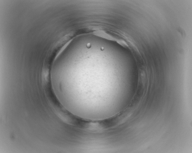 X0000115730406200911251942