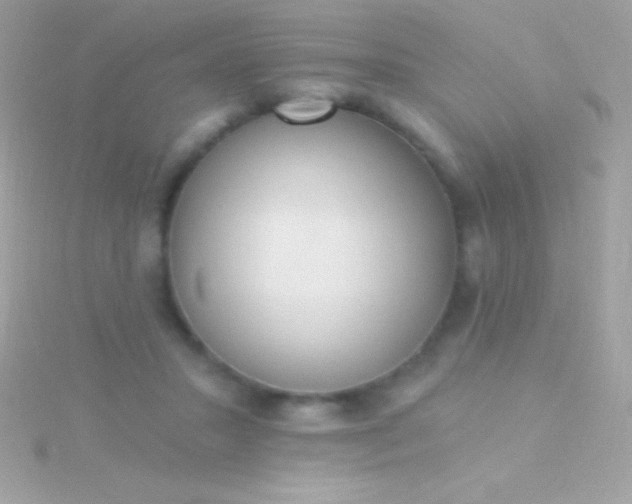 X0000115730407200911251942