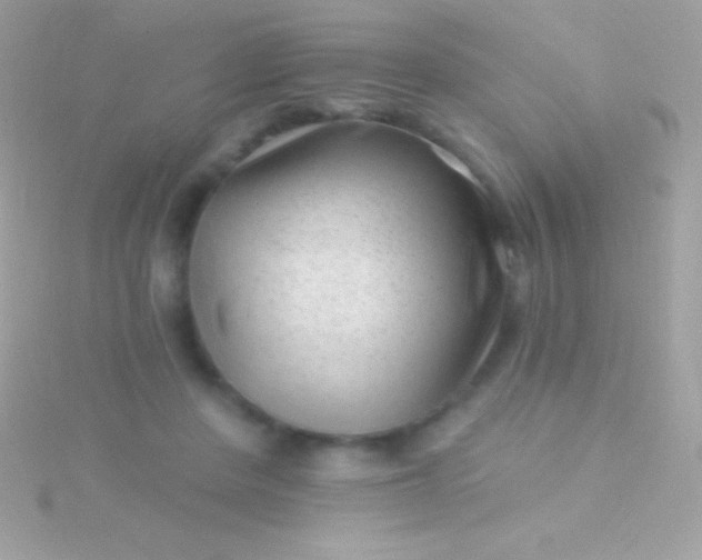 X0000115730408200911251942