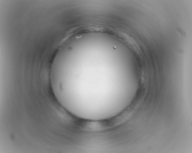 X0000115730409200911251942