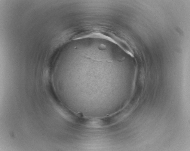 X0000115730410200911251942