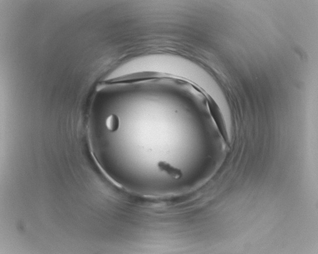 X0000115730411200911251942