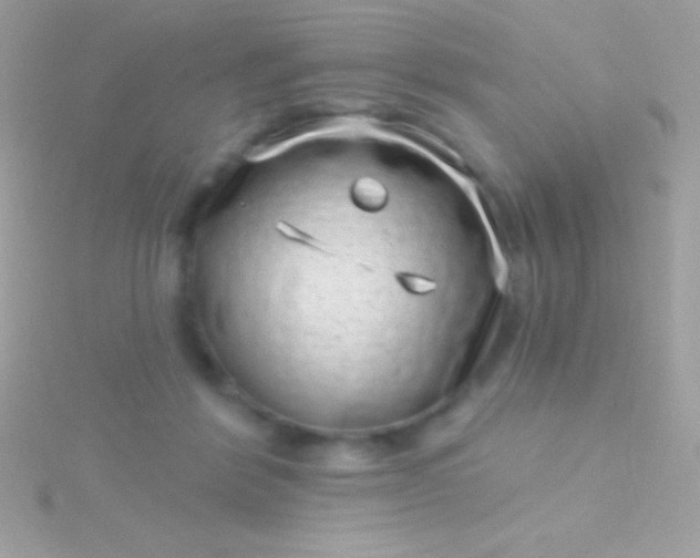 X0000115730412200911251942