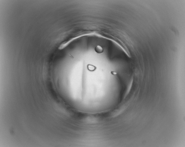 X0000115730416200911251942