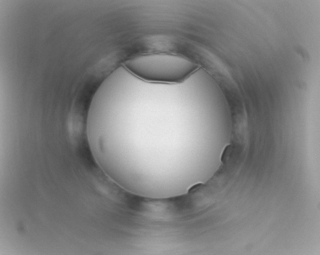 X0000115730417200911251942