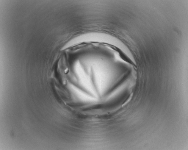 X0000115730419200911251942