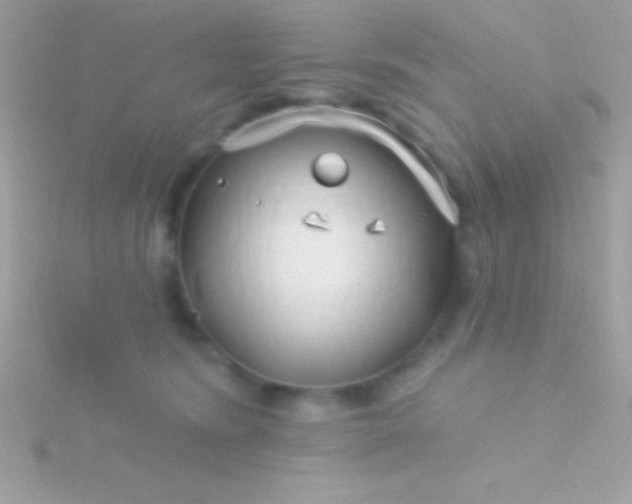 X0000115730420200911251942