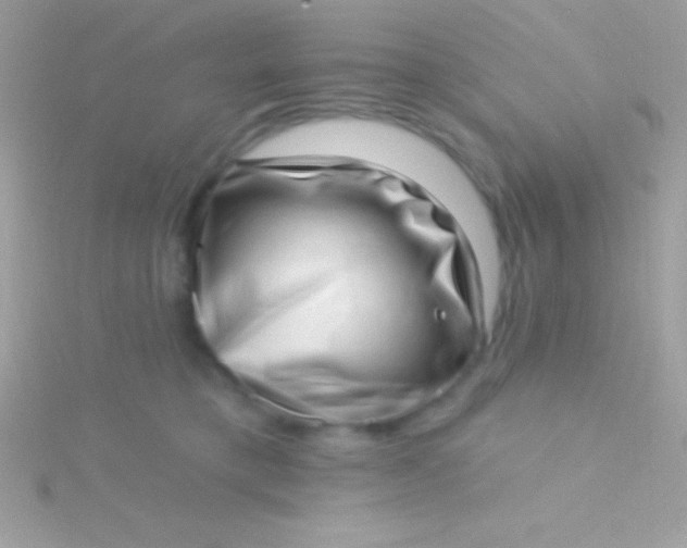 X0000115730421200911251942