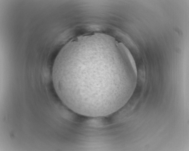 X0000115730422200911251942