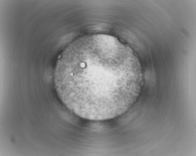 X0000115730423200911251942