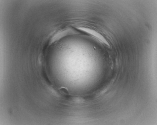 X0000115730424200911251942