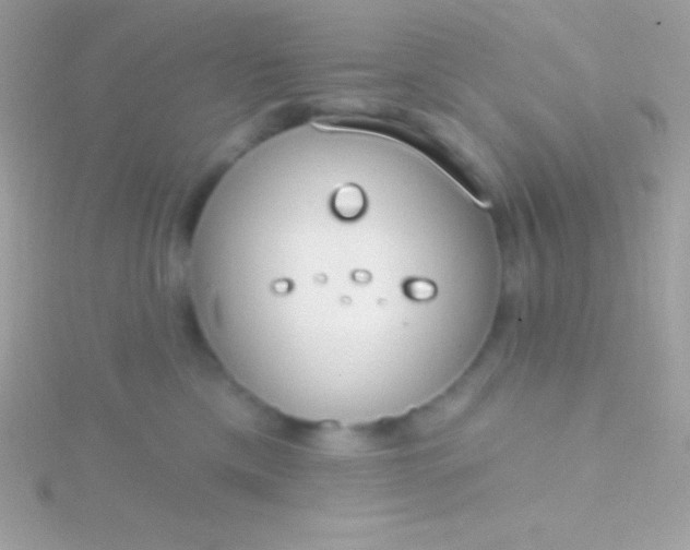 X0000115730425200911251942