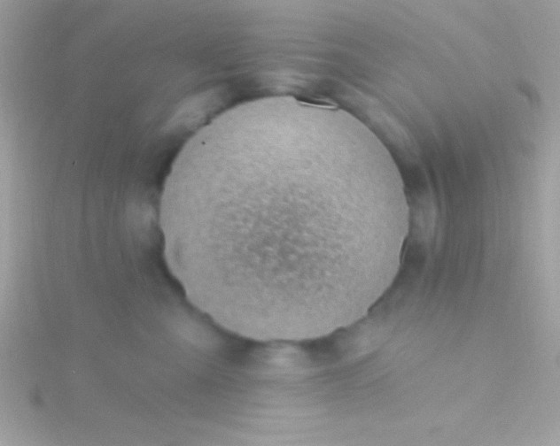 X0000115730427200911251942