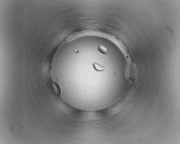 X0000115730428200911251942