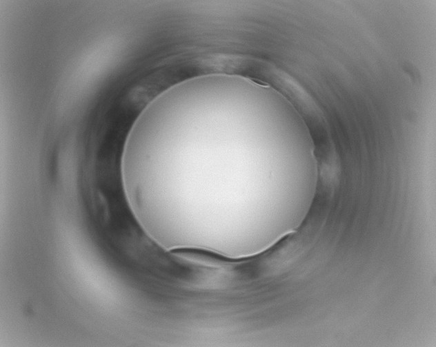 X0000115730429200911251942