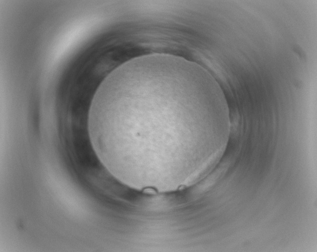 X0000115730430200911251942